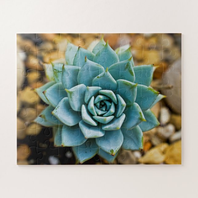 Succulent Jigsaw Puzzle (Horizontal)