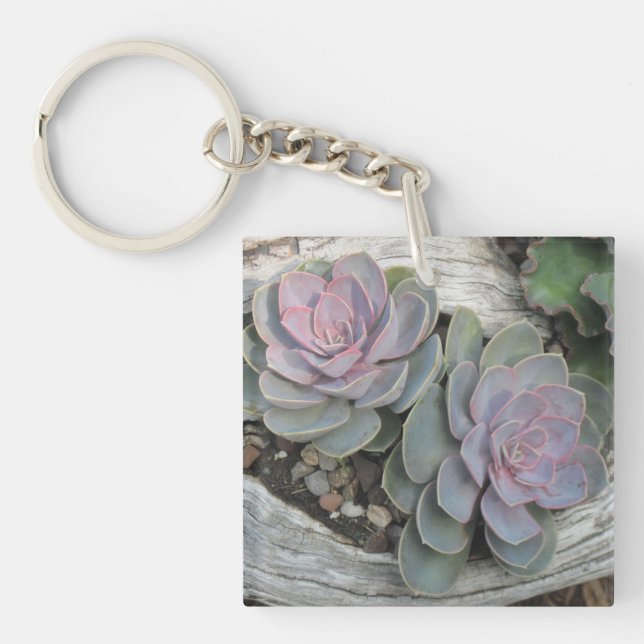 Succulent Key Chain (Front)