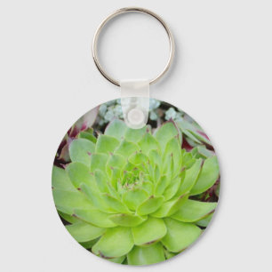 Succulent Key Chain
