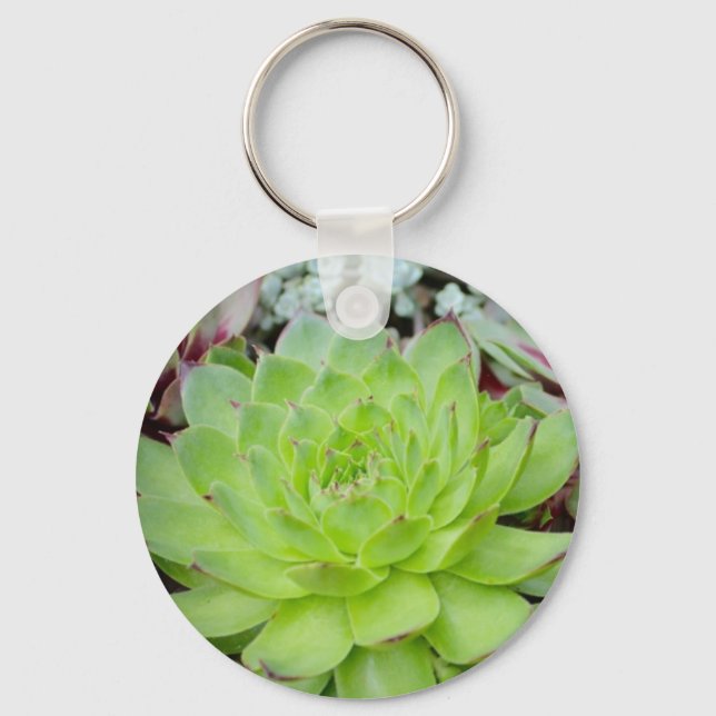 Succulent Key Chain (Front)