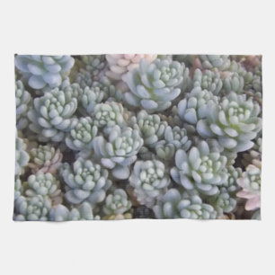 Succulent Kitchen Towel