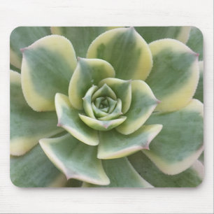 Succulent Mouse Pad