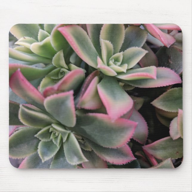 Succulent Mouse Pad (Front)