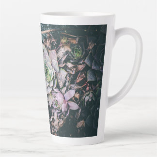 Succulent Mug