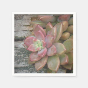 Succulent On Driftwood Napkin