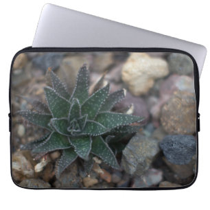 Succulent on Rocks Laptop Sleeve