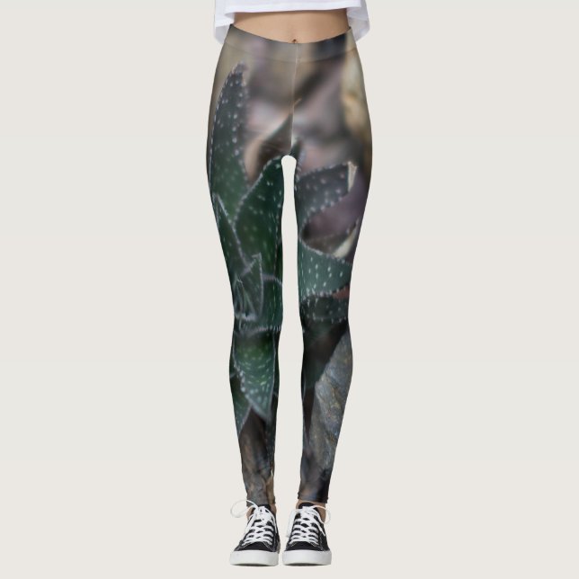 Succulent on Rocks Leggings (Front)