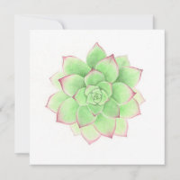 Succulent - Original Artwork by Meghann Russell