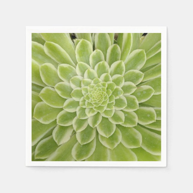 Succulent paper napkins (Front)
