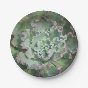 Succulent Paper Plate
