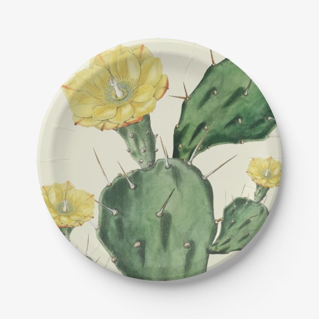 Succulent Paper Plates (Front)