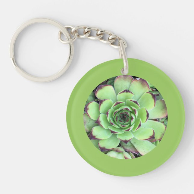 Succulent Photo Leaf Green Border Key Ring (Front)