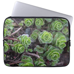 Succulent Photography Laptop Sleeve