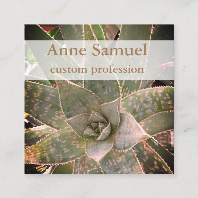 Succulent, Photography, Personalised  Square Business Card (Front)