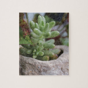 Succulent Plant and Chameleon Plant Jigsaw Puzzle