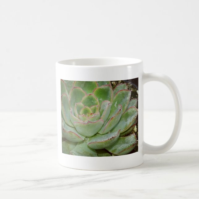 Succulent Plant Coffee Mug (Right)