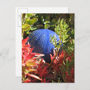 Succulent Plant Garden Blank Postcard