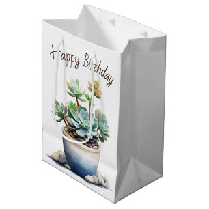 Succulent Plant in Pot Medium Gift Bag