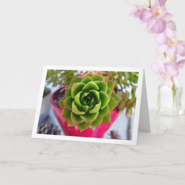 Succulent Plant Portrait Card (Orchid)