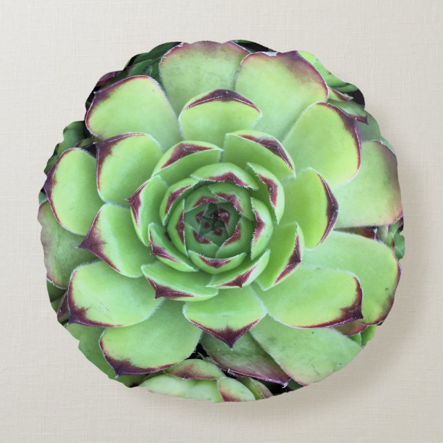Succulent Plant Texture Photo Round Cushion (Front)