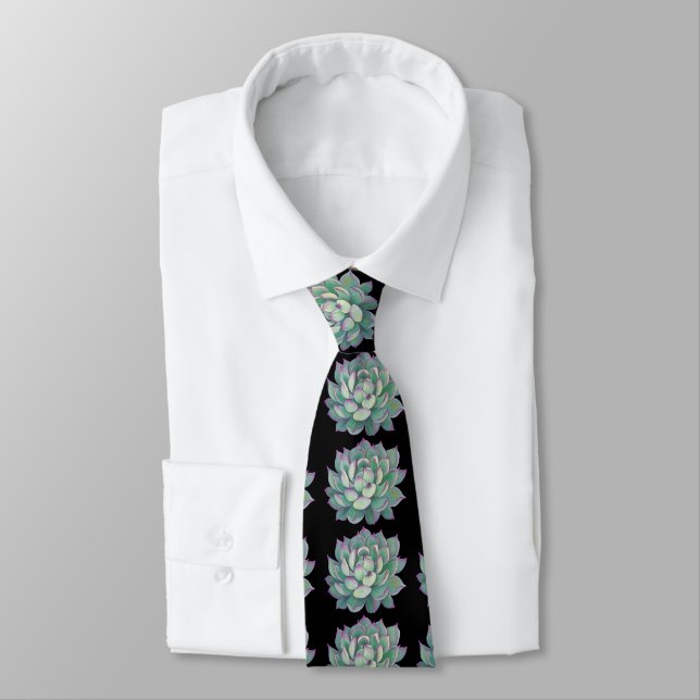 Succulent plant tie (Tied)