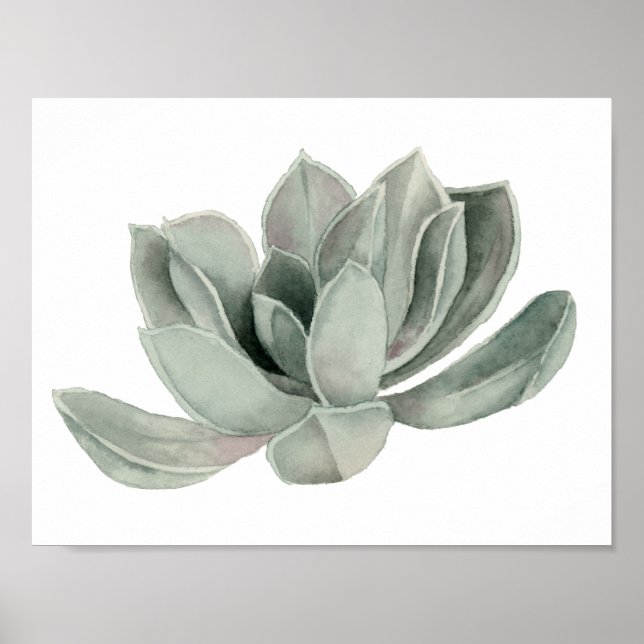 Succulent Plant Watercolor Painting Poster (Front)