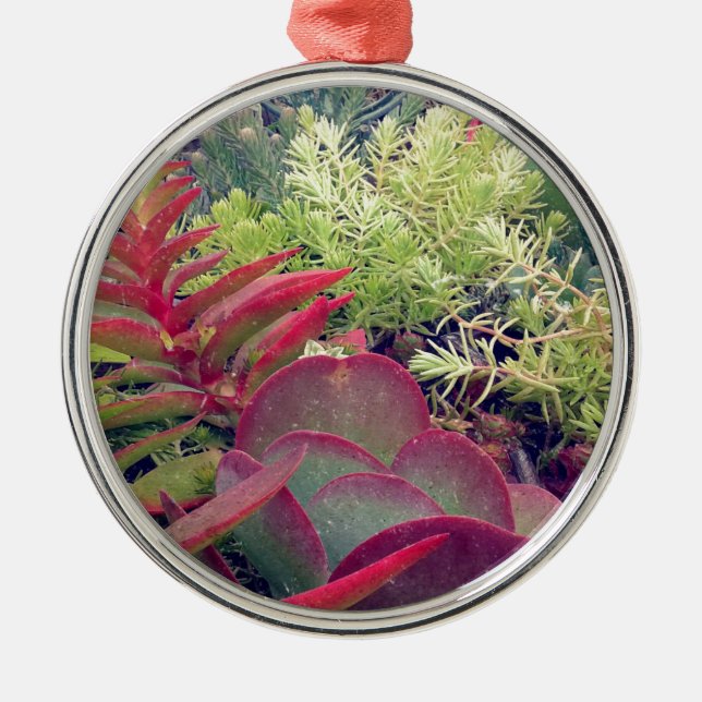 Succulent Plants Metal Tree Decoration (Front)