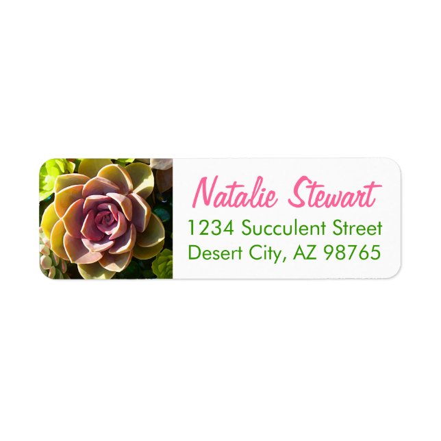 Succulent Pond by Amy Vangsgard Return Address Label (Front)