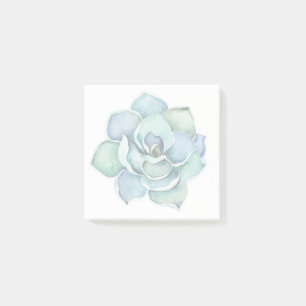 Succulent Post-it Notes