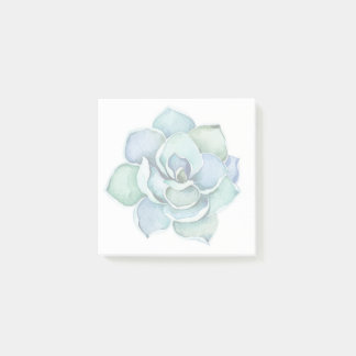 Succulent Post-it Notes