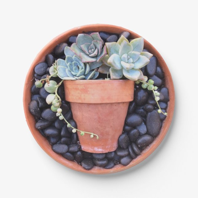 Succulent Pot in a Pot Paper Plate (Front)