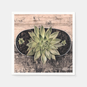 Succulent Rustic Vintage Green Botanical Decoupage Napkin