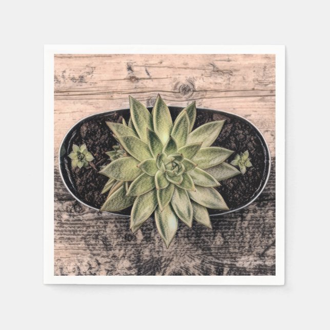 Succulent Rustic Vintage Green Botanical Decoupage Napkin (Front)