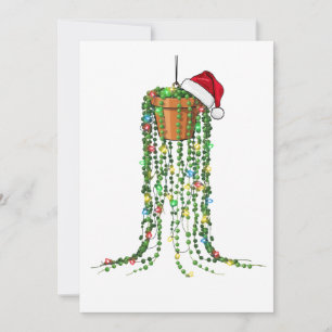 Succulent Santa Hat Christmas Lights Houseplant Thank You Card