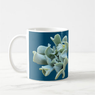 Succulent stationery coffee mug