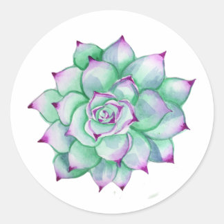 Succulent Stickers