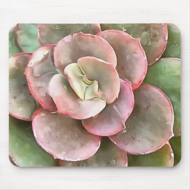 Succulent Study In Green and Coral Mouse Pad (Front)