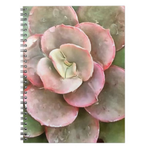 Succulent Study In Green and Coral Notebook