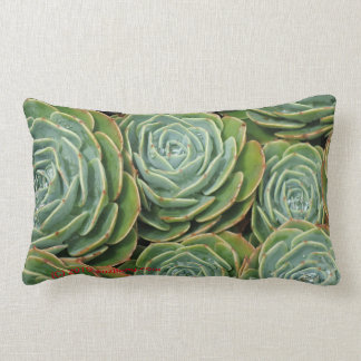 Succulent succulents, side 2! lumbar cushion