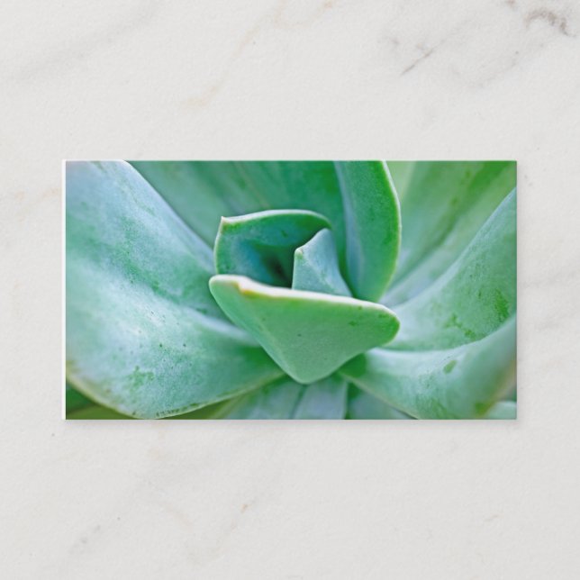 Succulent Swirl Business Card (Front)