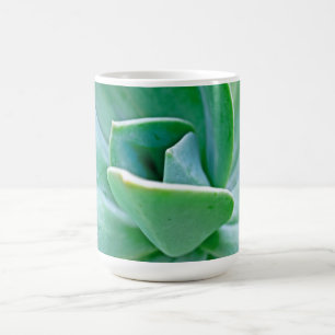 Succulent Swirl Coffee Mug