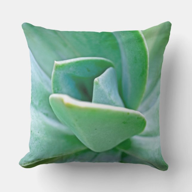 Succulent Swirl Cushion (Front)