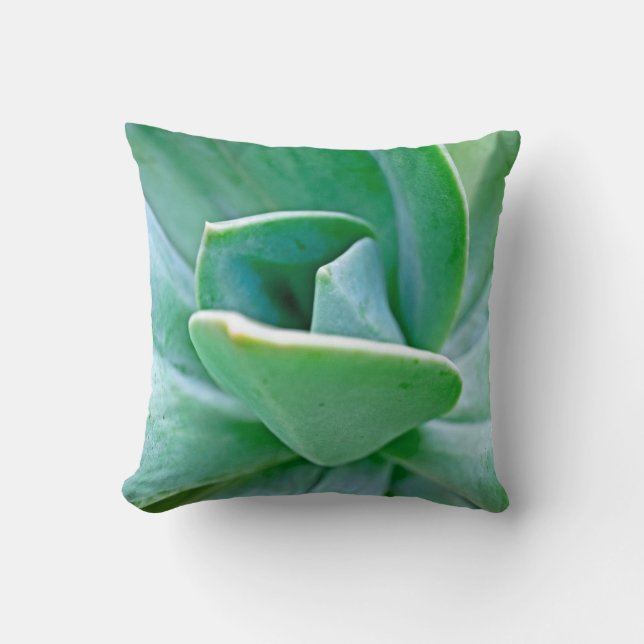 Succulent Swirl Cushion (Front)