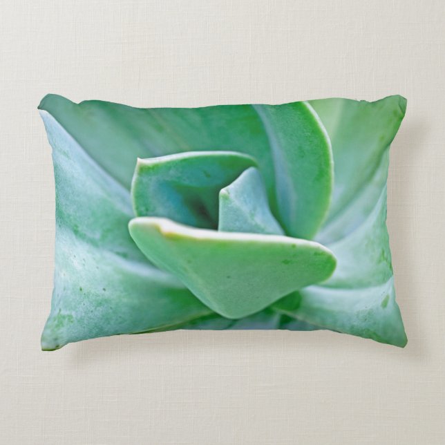 Succulent Swirl Decorative Cushion (Front)