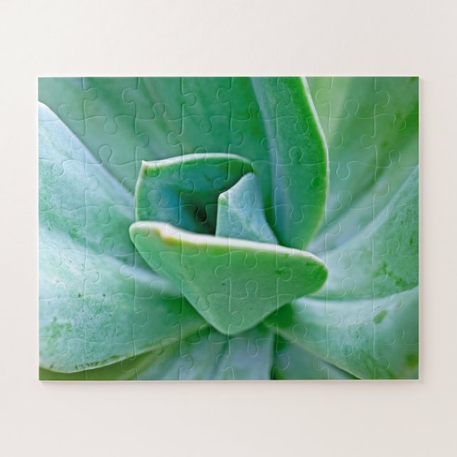 Succulent Swirl Jigsaw Puzzle (Horizontal)