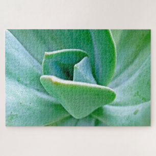 Succulent Swirl Jigsaw Puzzle