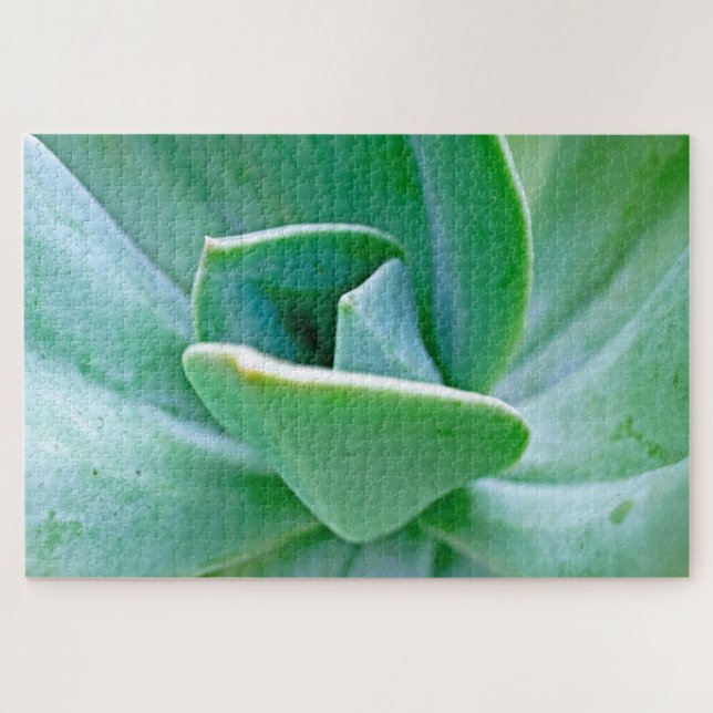Succulent Swirl Jigsaw Puzzle (Horizontal)