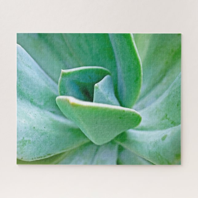 Succulent Swirl Jigsaw Puzzle (Horizontal)