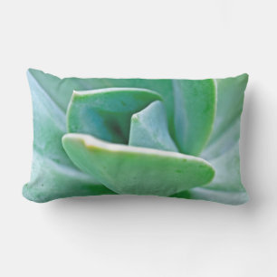 Succulent Swirl Lumbar Cushion