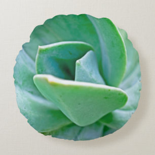 Succulent Swirl Round Cushion